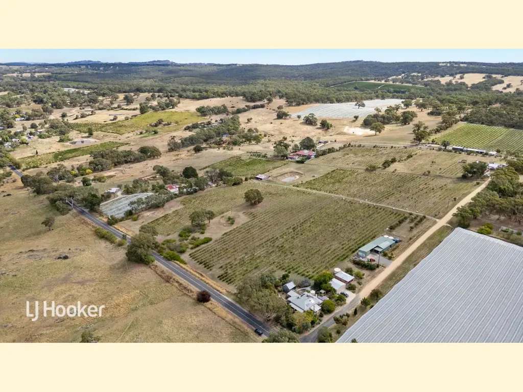 Angaston Hobbs of Barossa - A Rare Legacy Offering