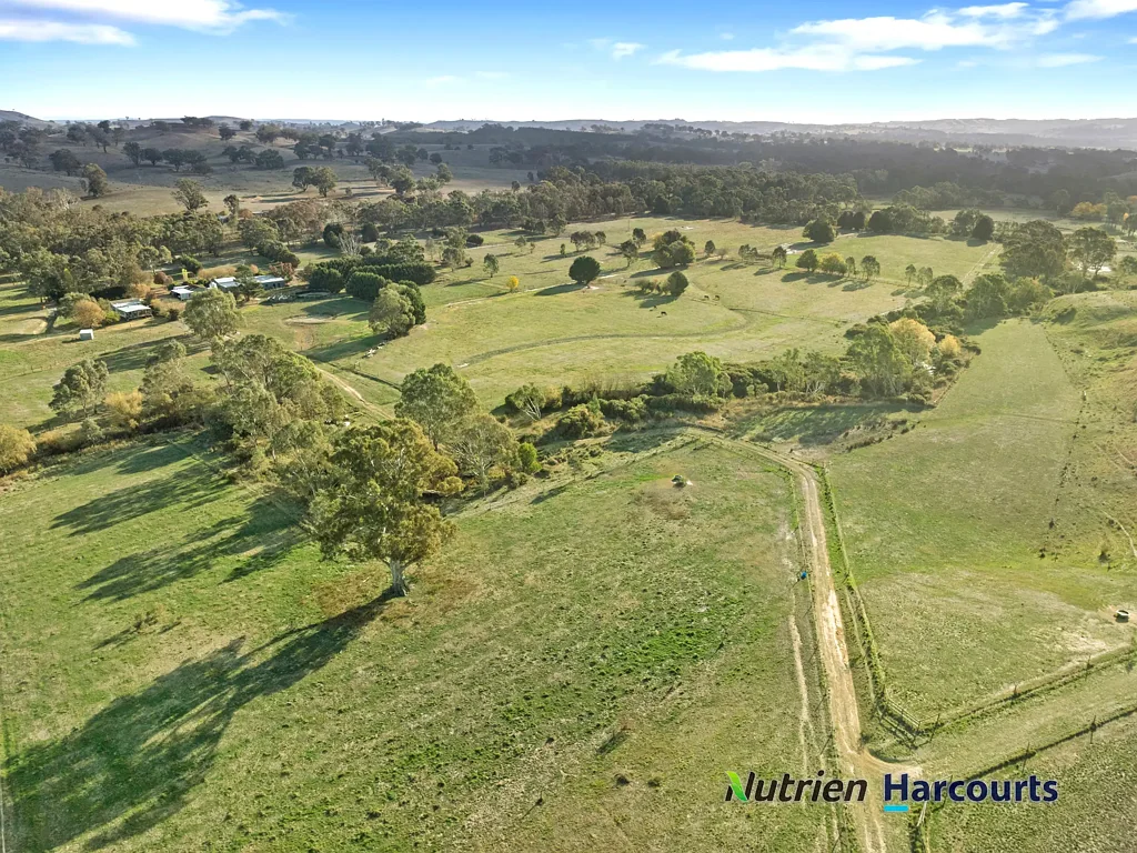 Merton Premium Equine & Lifestyle Property - 114 Acres with Dual Creek Frontage