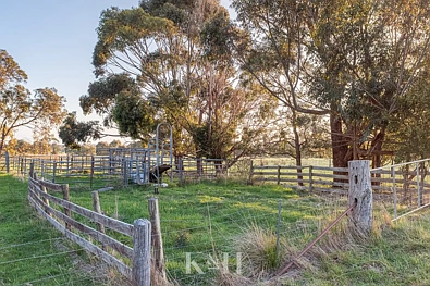 112 Dunne Road, Bullengarook, VIC 3437, 0 Schlafzimmer, 0 Badezimmer, Lifestyle Property