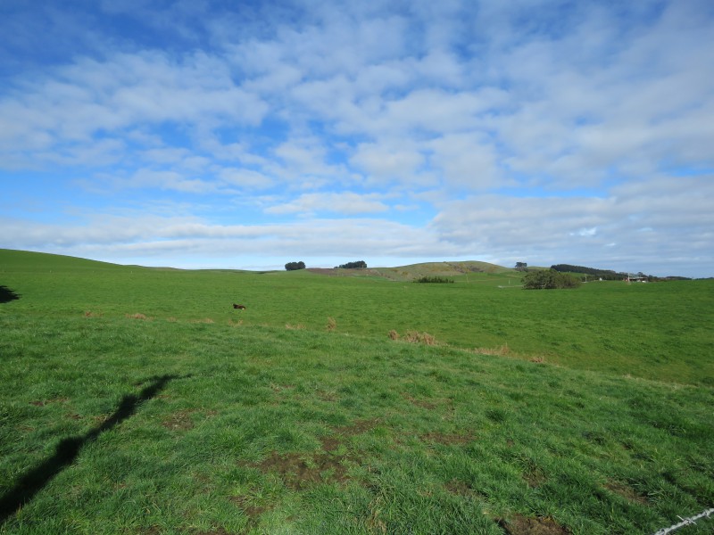 906 Waimahaka Fortification Road, Wyndham Surrounds, Southland, 0 침실, 0 욕실, Dairy