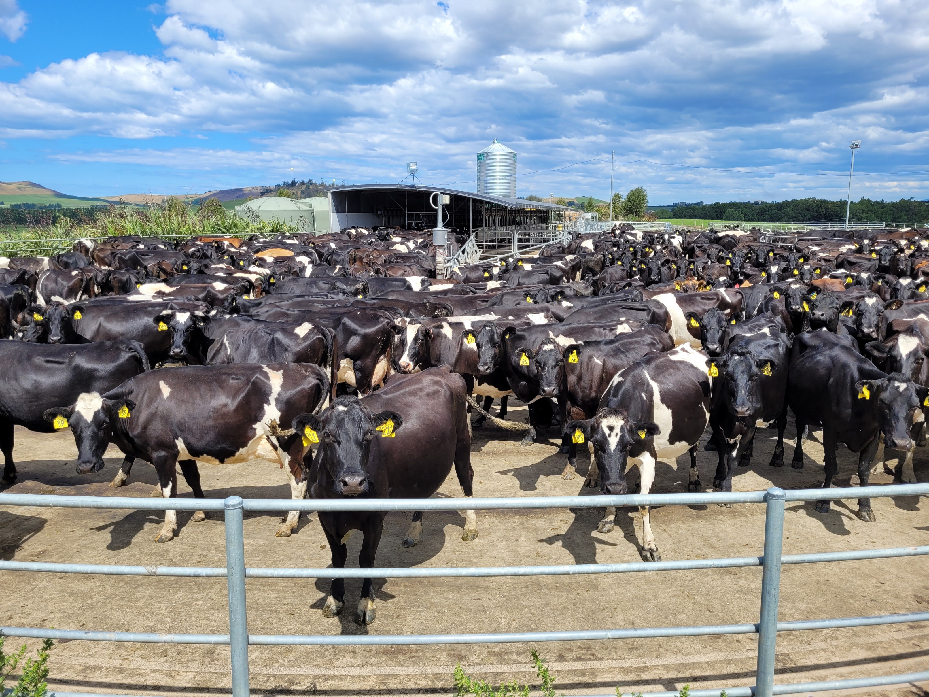 2 Tussocky Road, Enfield and Surrounds, Waitaki, 0 chambres, 0 salles de bain, Dairy