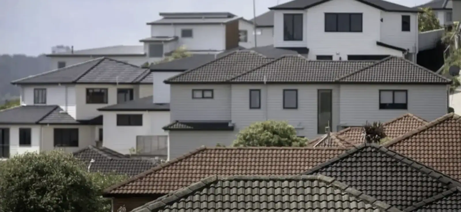 “新西兰住房梦”更近一步,政府承诺放宽贷款限制