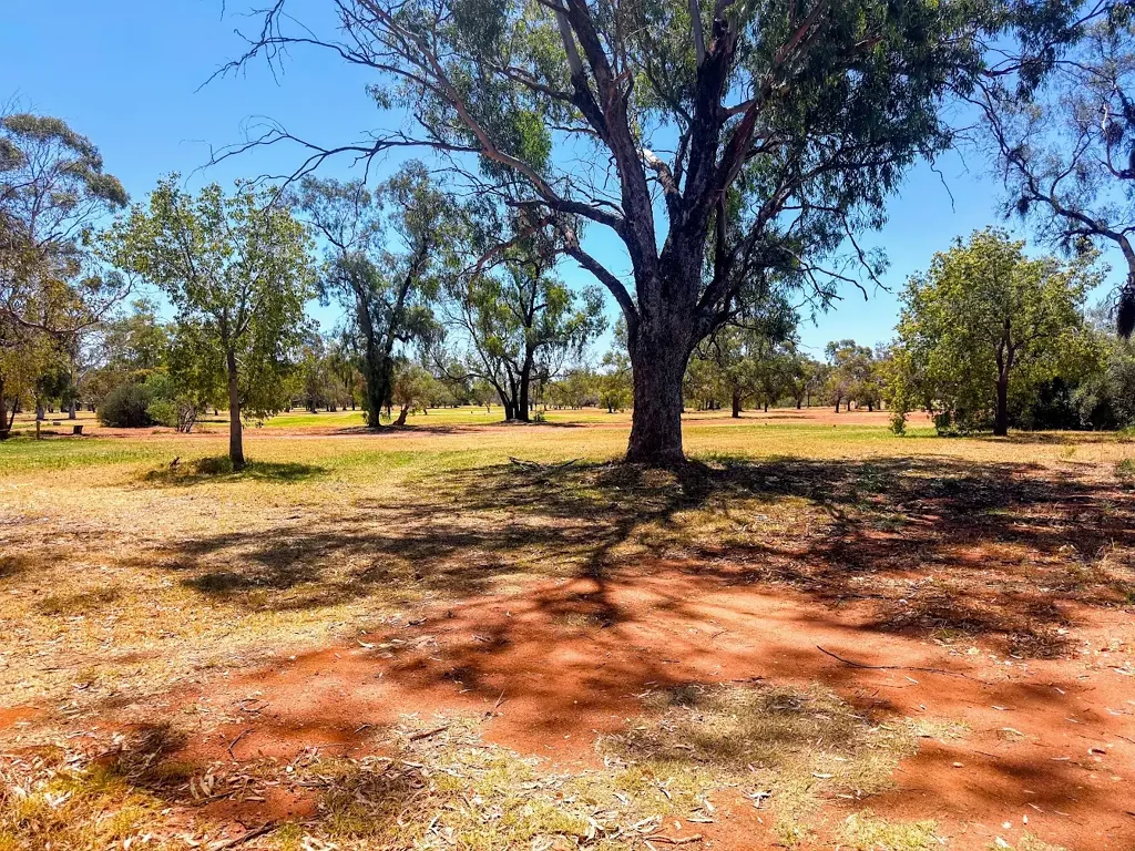 61 Molong Street, Condobolin, NSW 2877