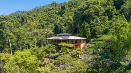 "Sanctuary", Daintree