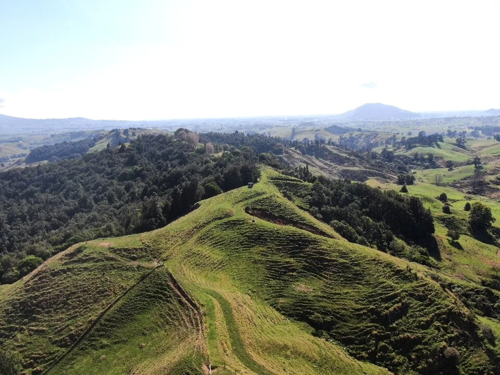 Otorohanga First Farm Drystock Option