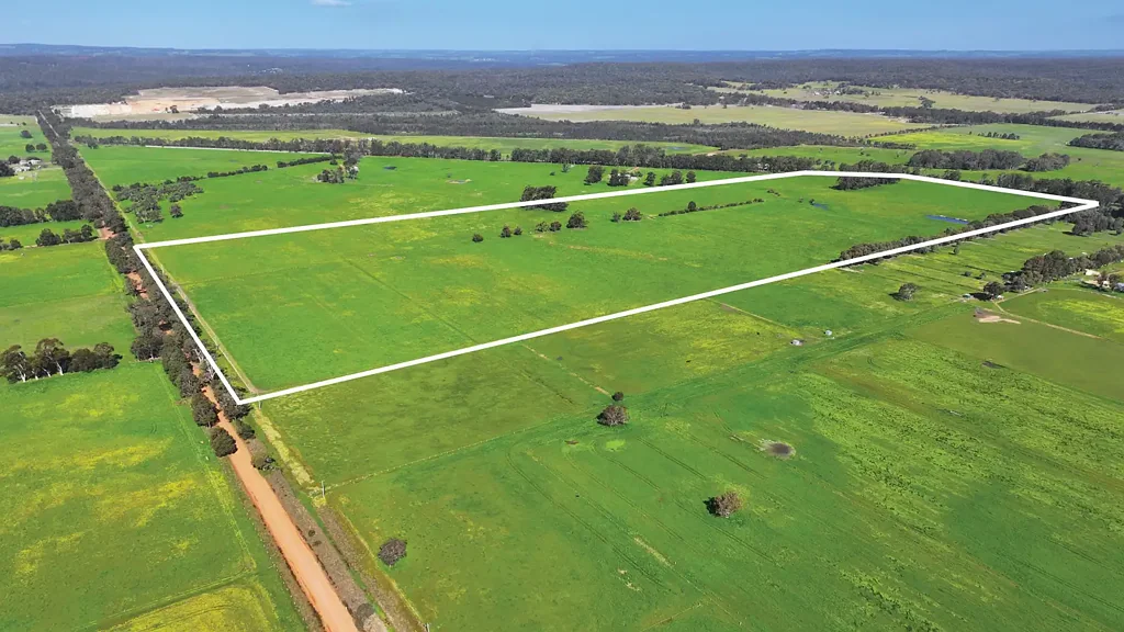 Boyanup  Plains Premium Pasture Package - 109 Acres of Prime Grazing Land