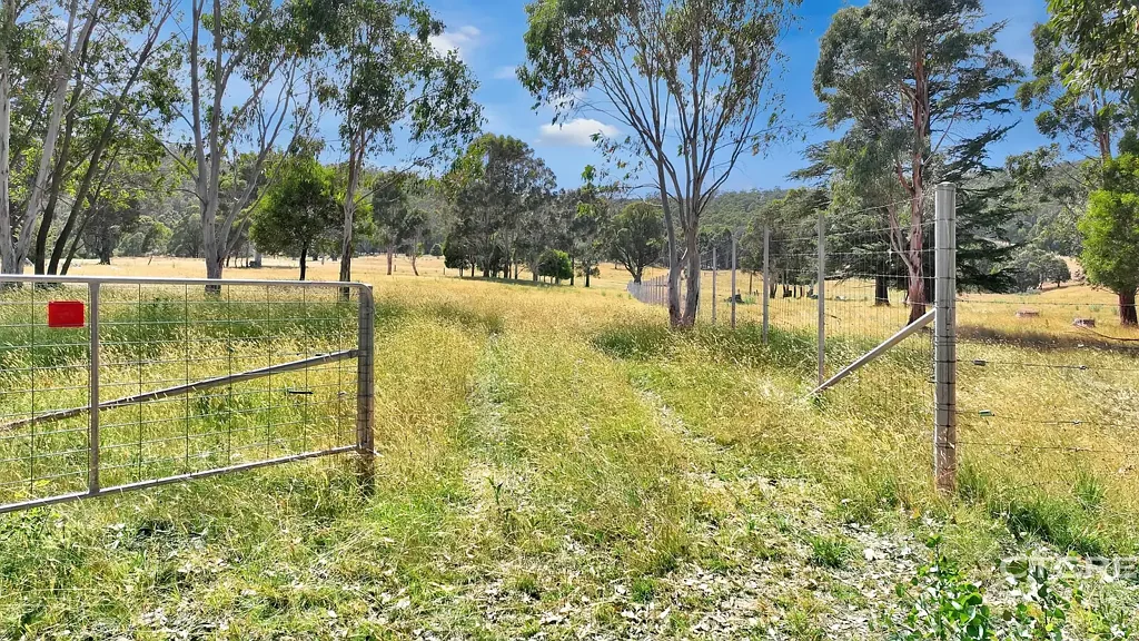 3022 Benambra - Corryong Road, Benambra, VIC 3900