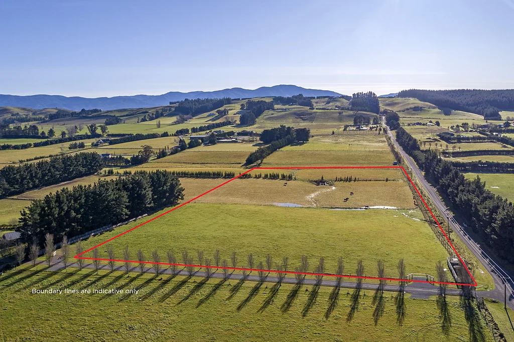 Cust  Exceptional 4ha lifestyle block - expansive views