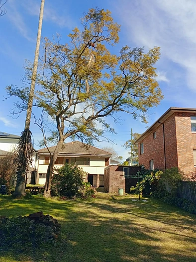 Gladesville 4Zimmer Double-Brick Family Home in the Perfect Locale, Walk to Transport & shops