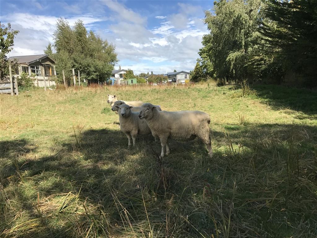 56 Farm Street, Lumsden, Southland, 0房, 0浴