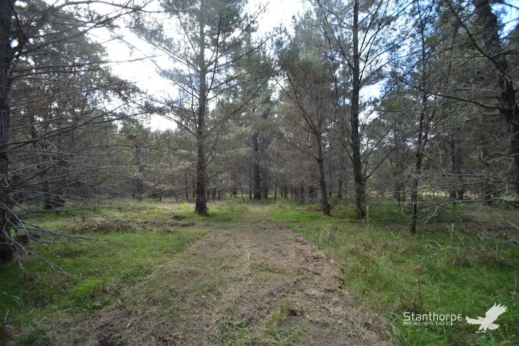 LOT 222 Sunrise Road, Sugarloaf, QLD 4380