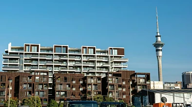 突发！奥克兰大规模加密建房计划或被砍75%，影响数十万居民！
