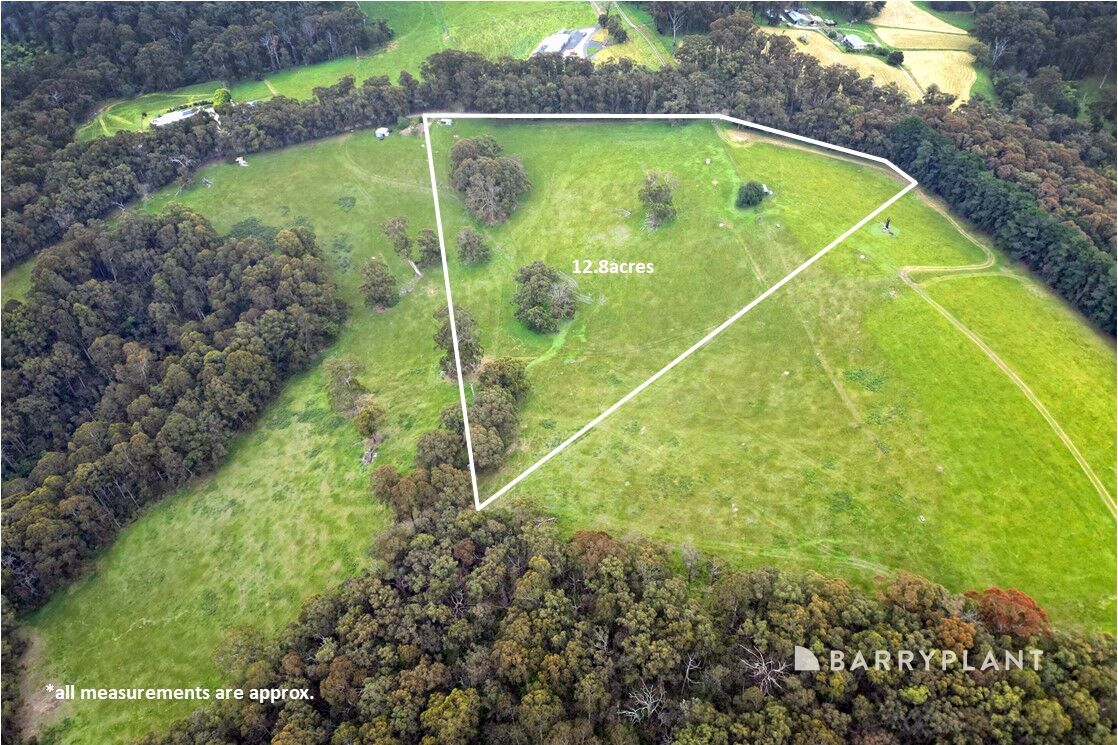 230 MT EIRENE RD, GEMBROOK VIC 3783, 0 chambres, 0 salles de bain, Section