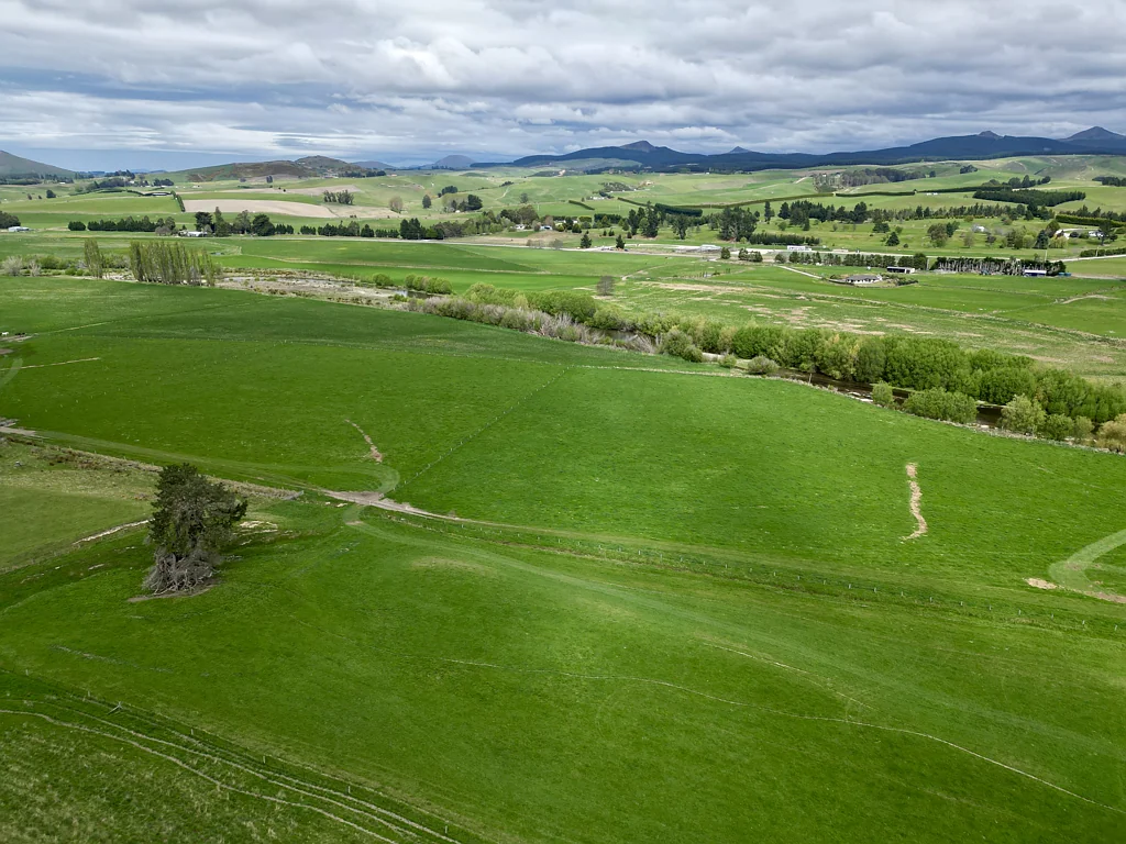 Palmerston Quality feed harvesting, dairy support or finishing