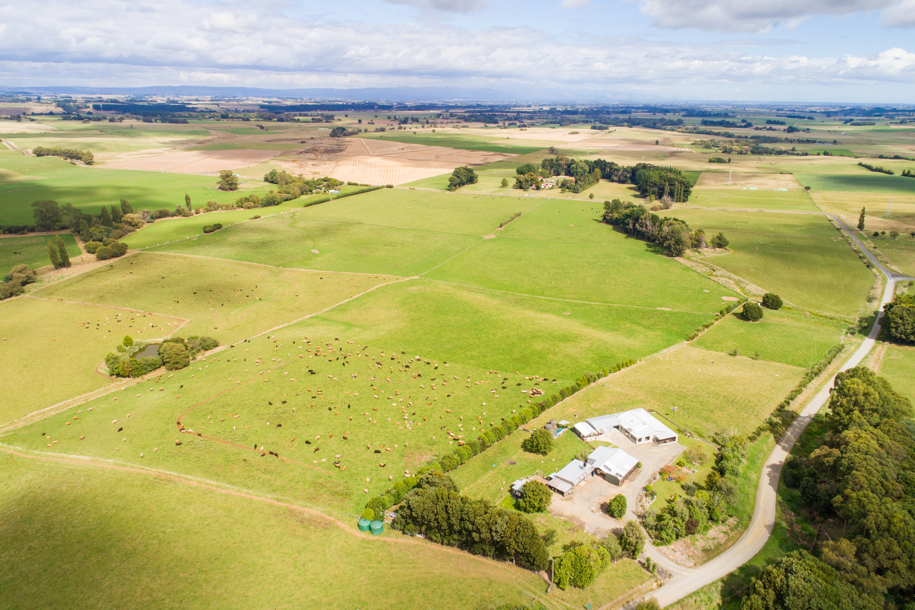 44 Levett Line, Beaconsfield, Manawatu, 0房, 0浴, Lifestyle Property