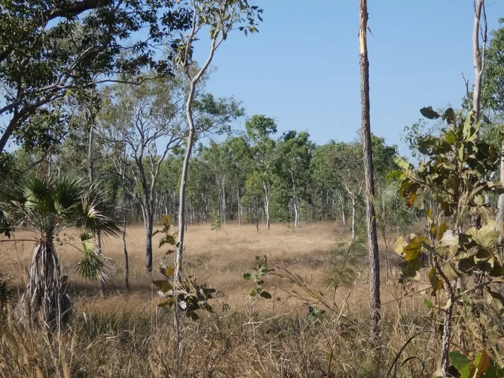 Collett Creek 320 acres perfect for livestock Eco tourism or just to get off the grid and enjoy life