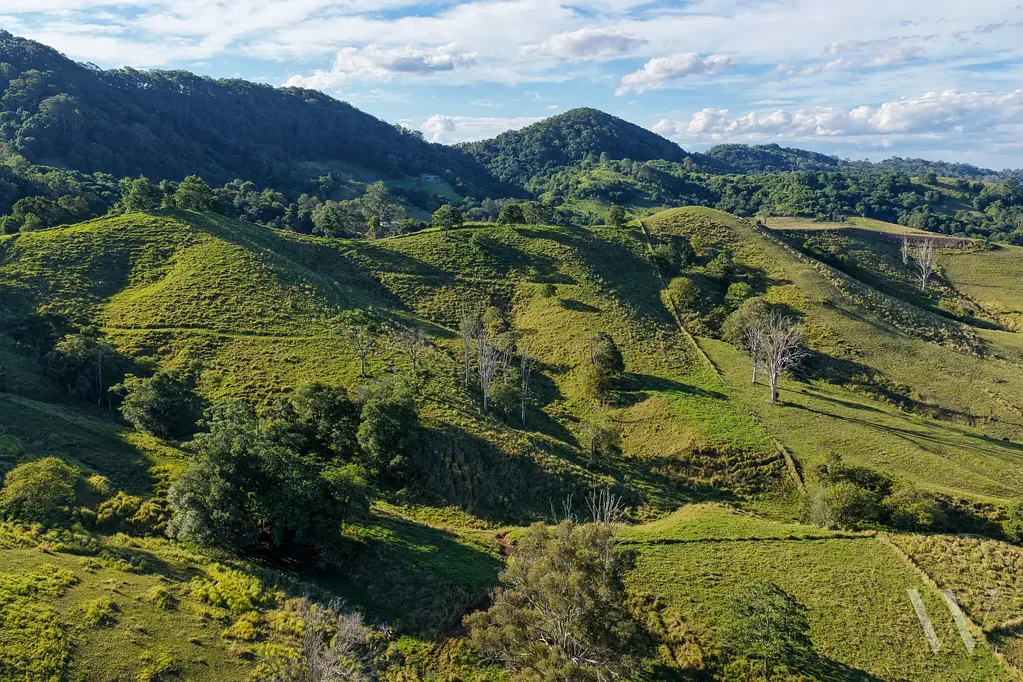 Eerwah Vale  BUILD YOUR DREAM HOME TODAY AMONGST LUSCIOUS ROLLING HILLS AND IDEAL LOCATION!