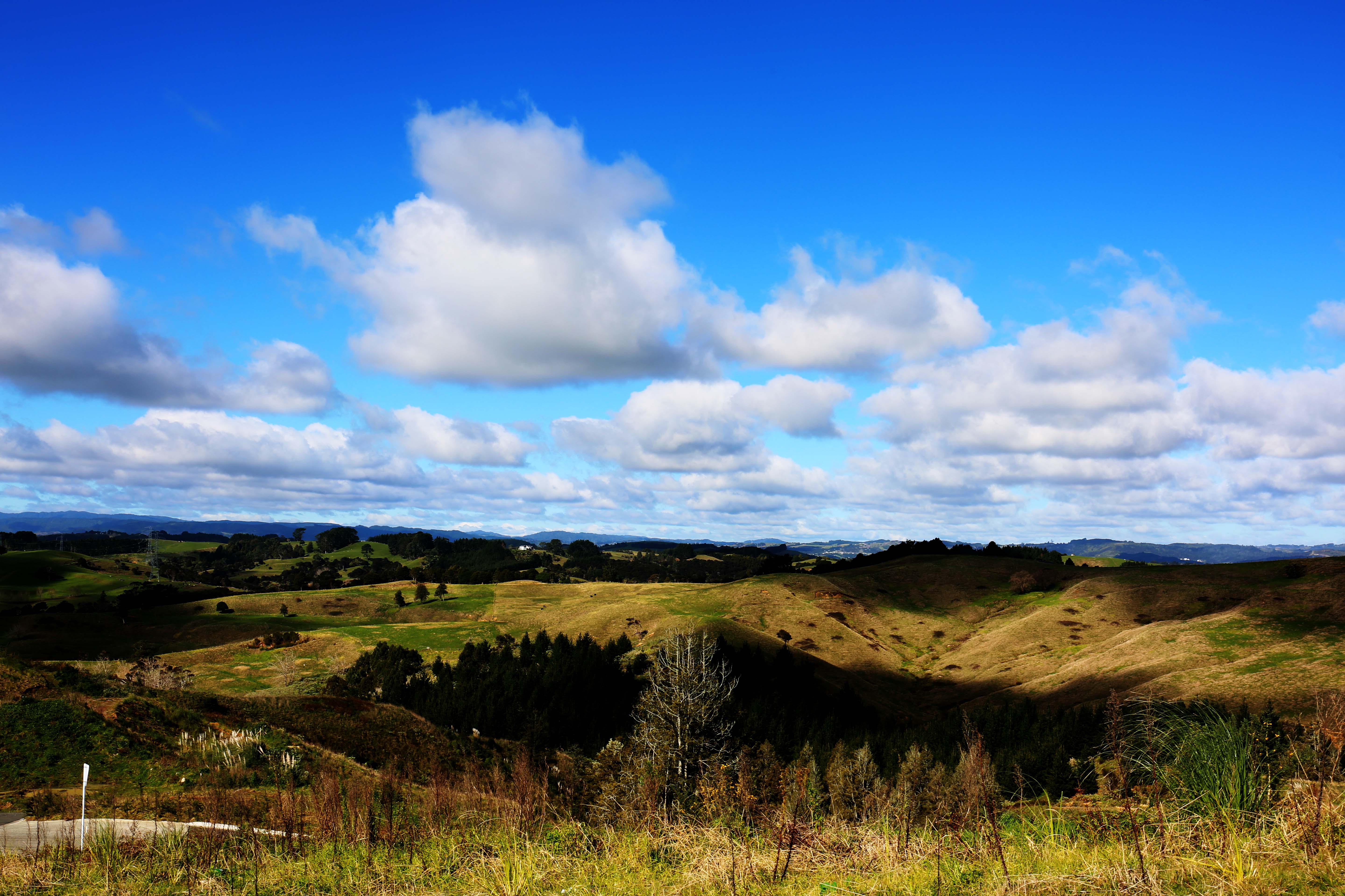 5 Harakeke Terrace, Whitford, Auckland - Manukau, 5 rūma, 0 rūma horoi