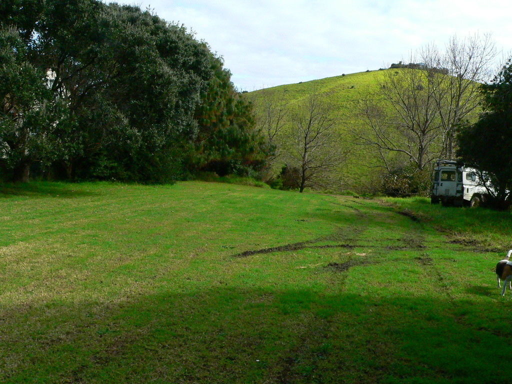 Hauraki Gulf Islands