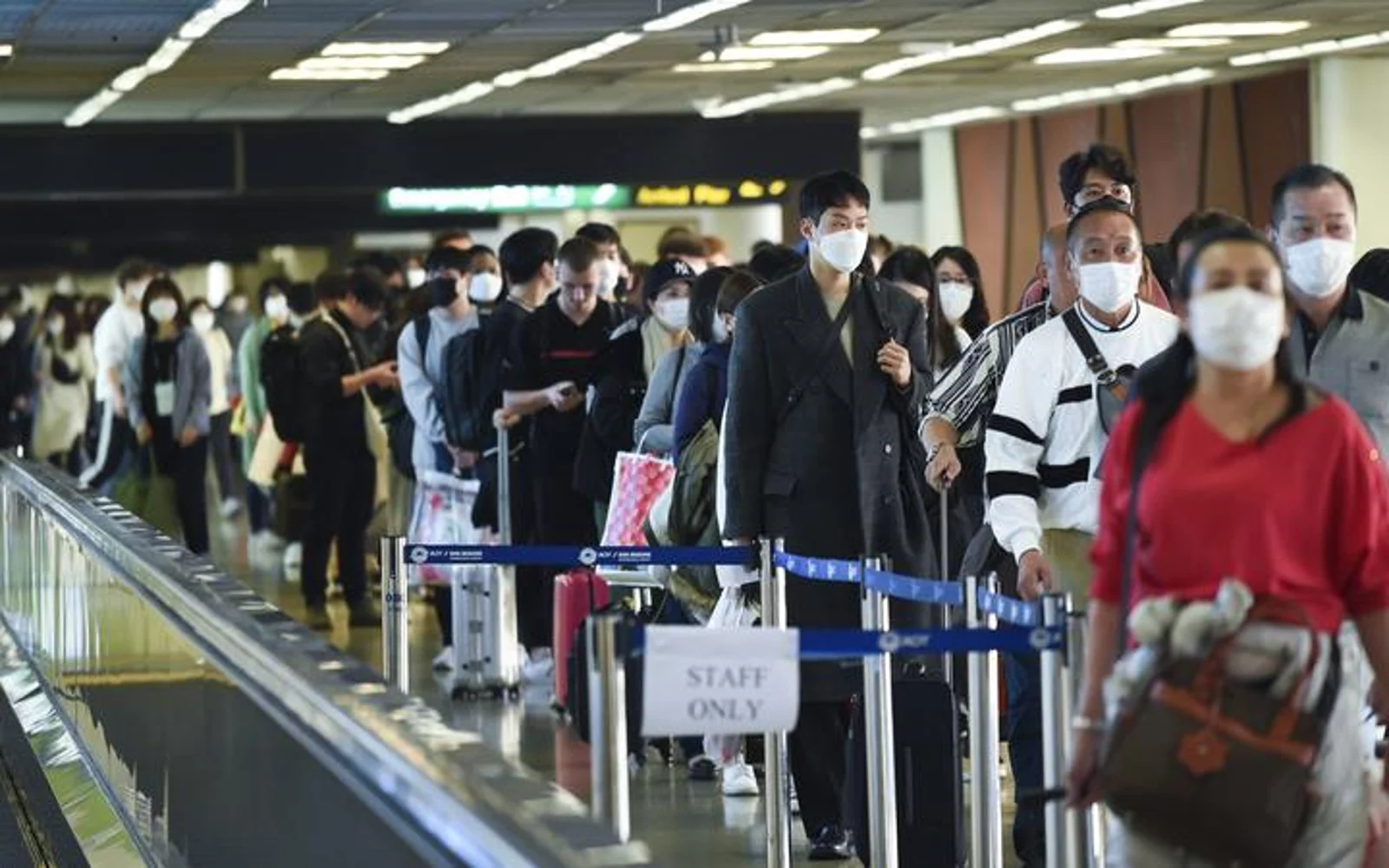 “慢得令人失望”！专家呼吁新西兰政府将管制措施升级到这种程度！？