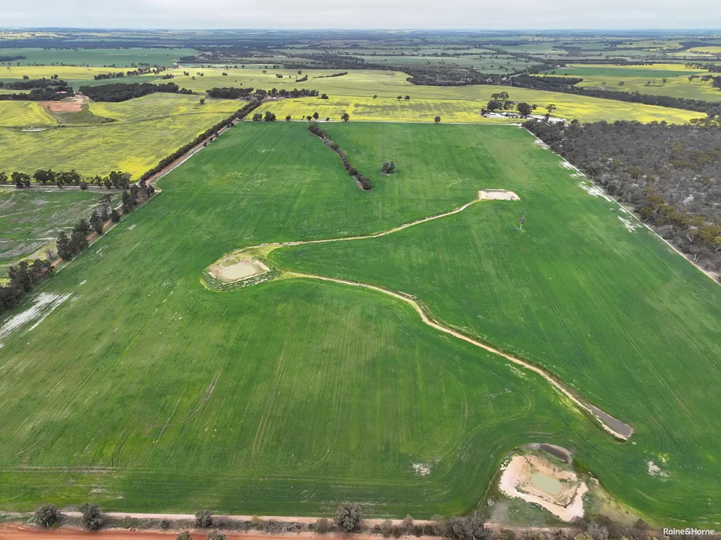 Highbury  "WEEWONDER" Prime Agricultural Property