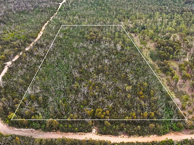 323 Endrick River Road, Nerriga, NSW 2622, 0 રૂમ, 0 બાથરૂમ, Lifestyle Property