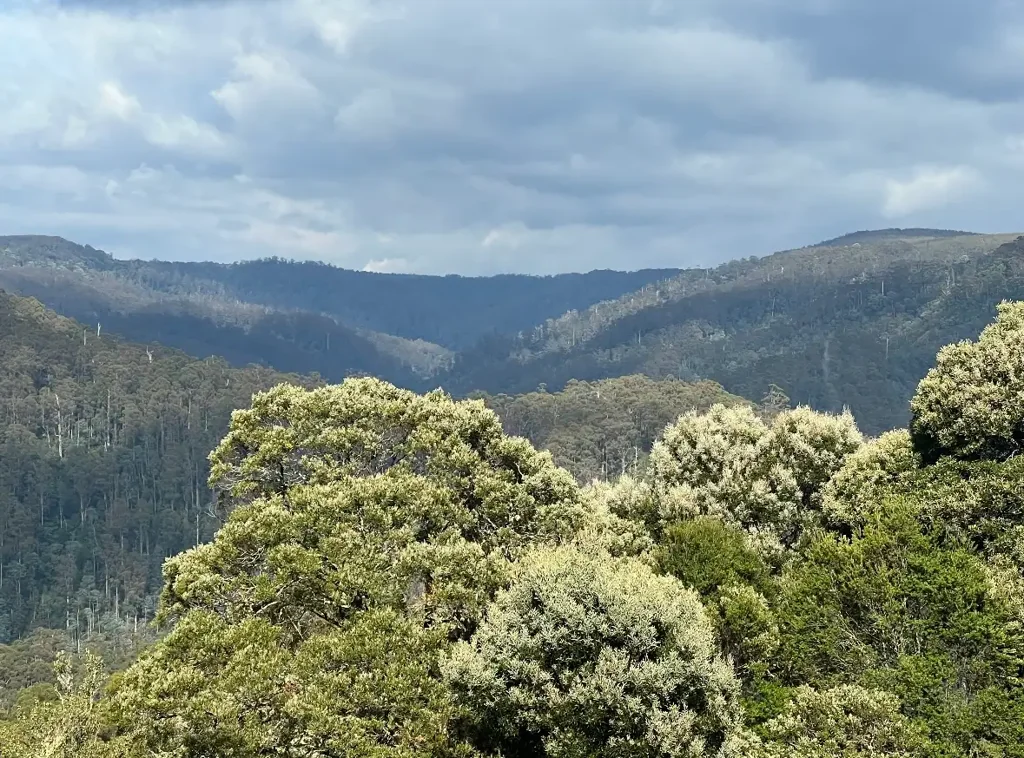 654 West Calder Road, Calder, TAS 7325