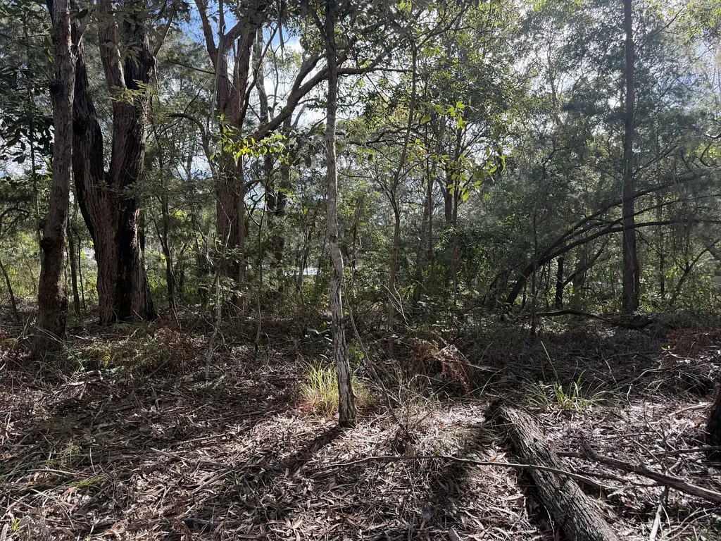 Russell Island Peaceful Bushland Setting with Future Potential