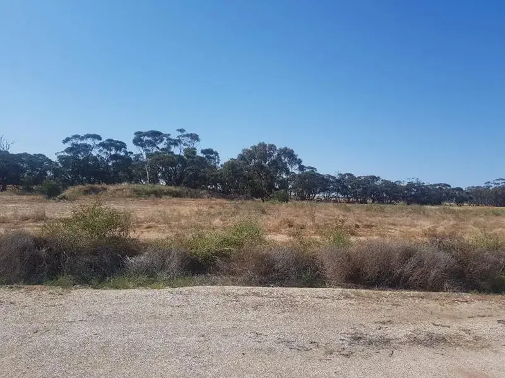 166 (L) WOOLAWA Street, Moora, WA 6510