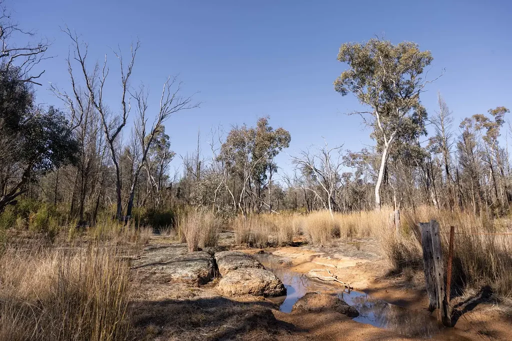 Gulgong Dwelling entitlement - Bush Block with creek.