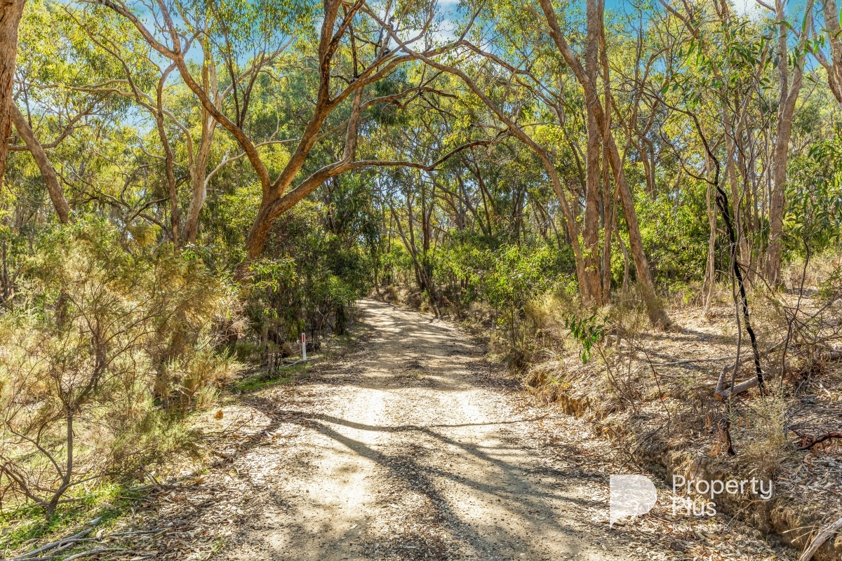 86 RIELLYS RD, BARKERS CREEK VIC 3451, 0 રૂમ, 0 બાથરૂમ, Section