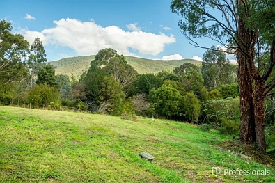 20 Andersons Avenue, Warburton, VIC 3799, 0房, 0浴, Section