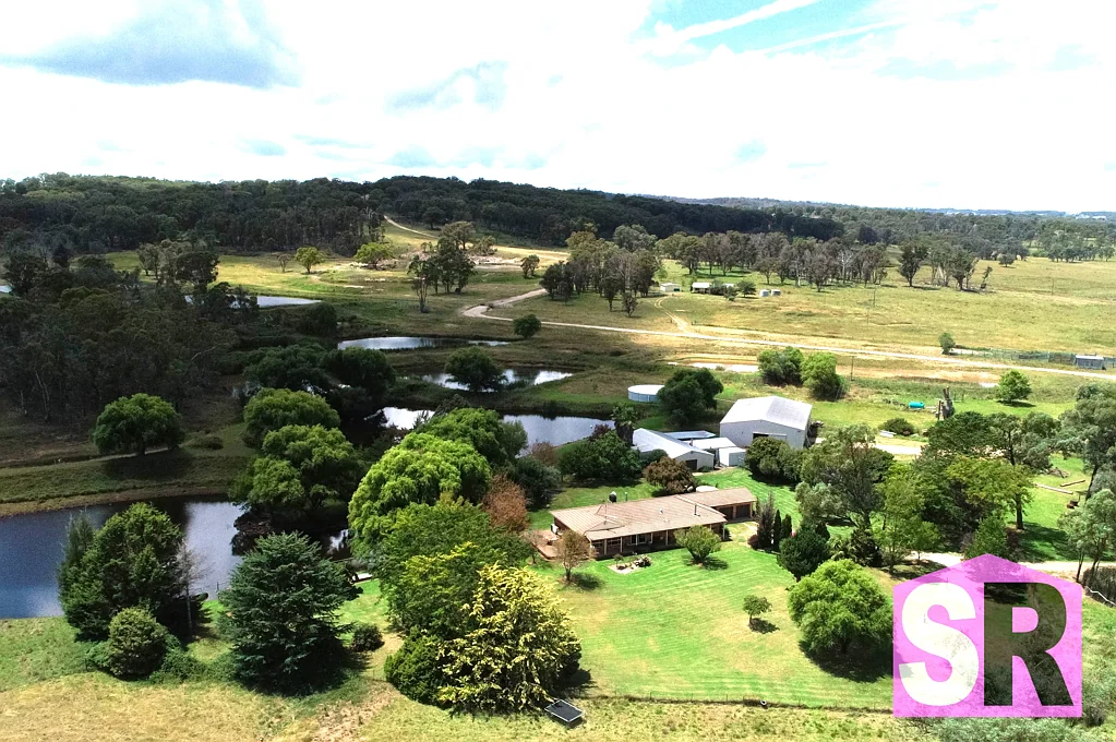 Guyra ONCE IN A LIFETIME