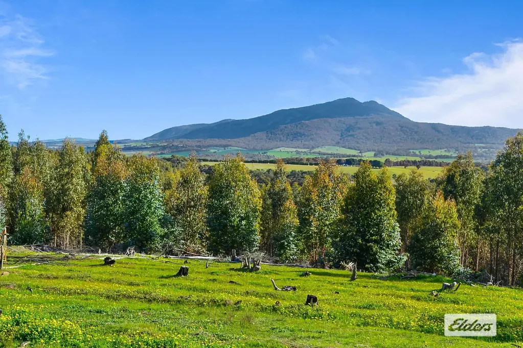 Mount Cole Creek Private Mountain Getaway - 80 Acre Bush Block