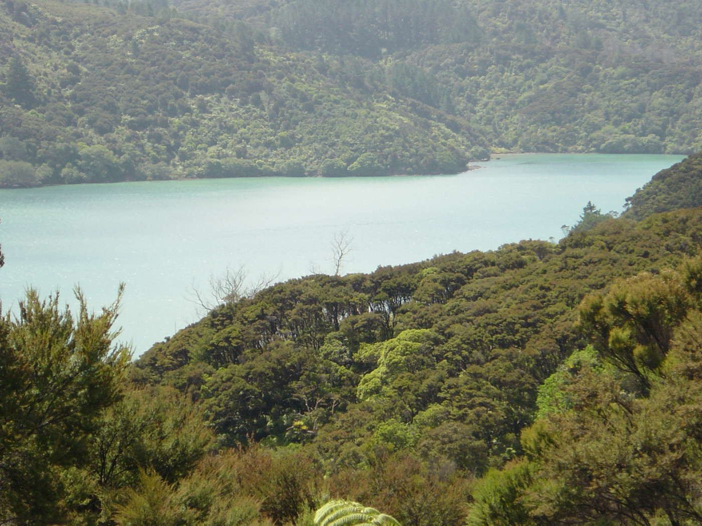 9 Te Wakaunua Road, Murupara Surrounds, Whakatane, 0 Schlafzimmer, 0 Badezimmer