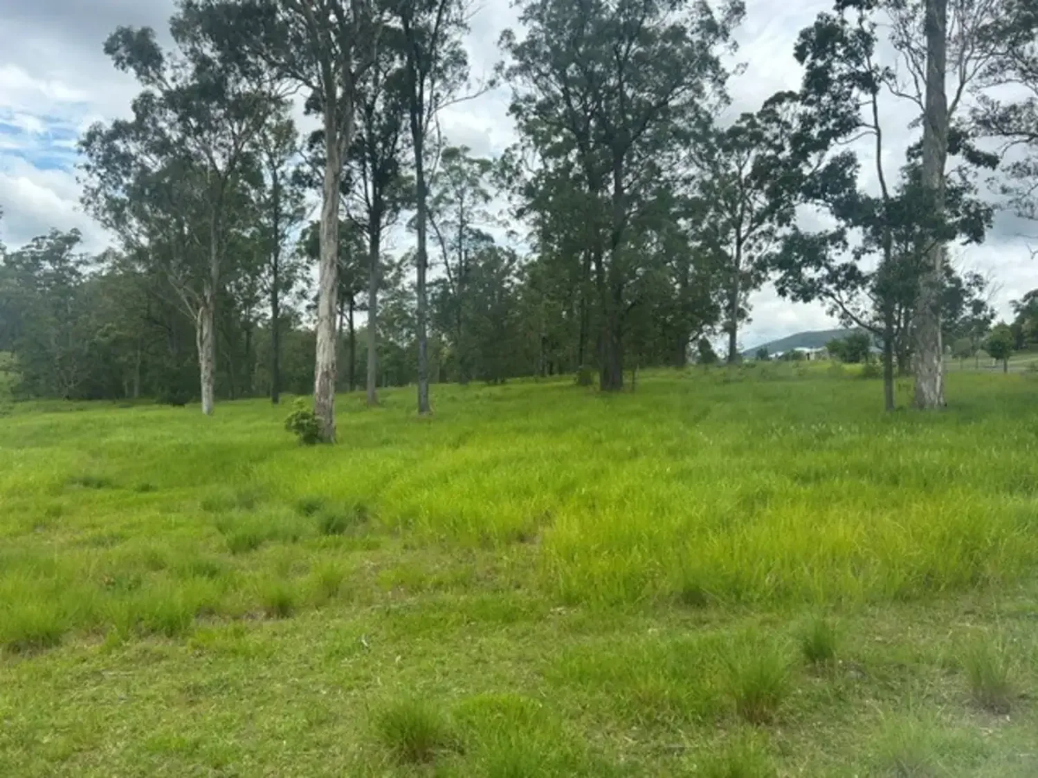 Address Withheld, Woodford, QLD 4514, 0 phòng ngủ, 0 phòng tắm, Section