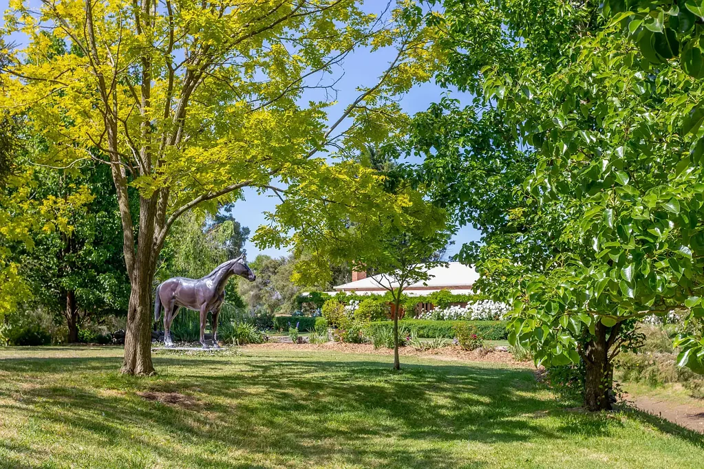 Moorooduc 5房 卓越20英亩高端Estate 安静死路环绕 临近Mount Eliza和Somerville 土地有1%下降 马术运动理想环境 宽敞砖房2.7米高天花板 5卧2休息室 2餐饮区 阳光房 独立生活空间 双住宿灵活 家庭室 2浴室 主卧室Ensuite 桑拿 下沉式游泳池 马术设施完善 大型双车库 储物空间丰富 Unique Property in an Enviable Location
