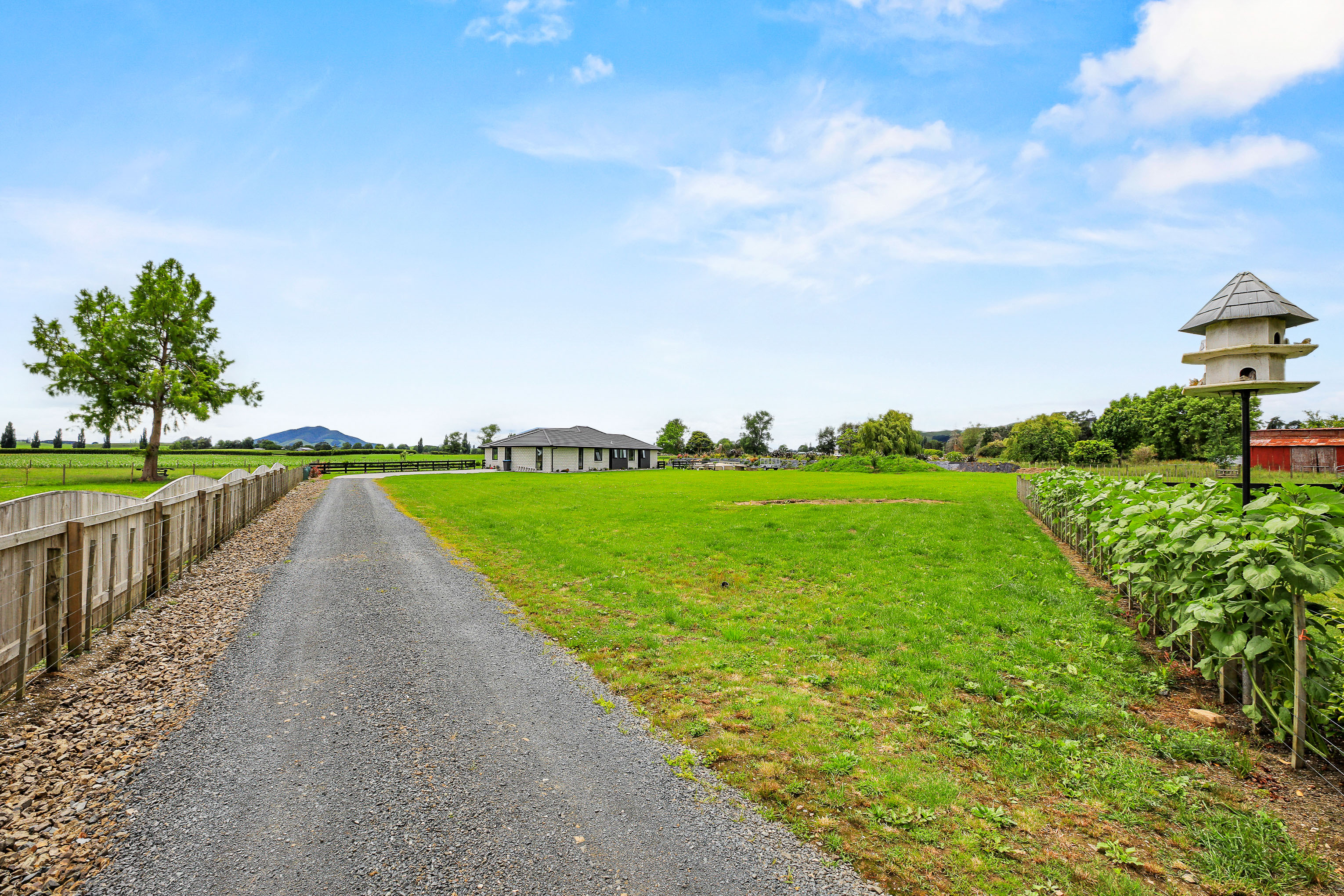 142 Kio Kio Station Road, Otorohanga, Otorohanga, 4 chambres, 0 salles de bain, Lifestyle Property