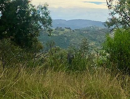 Lot 7 Gibraltar Road, Tenterfield, Tamworth, 0房, 0浴, Lifestyle Property