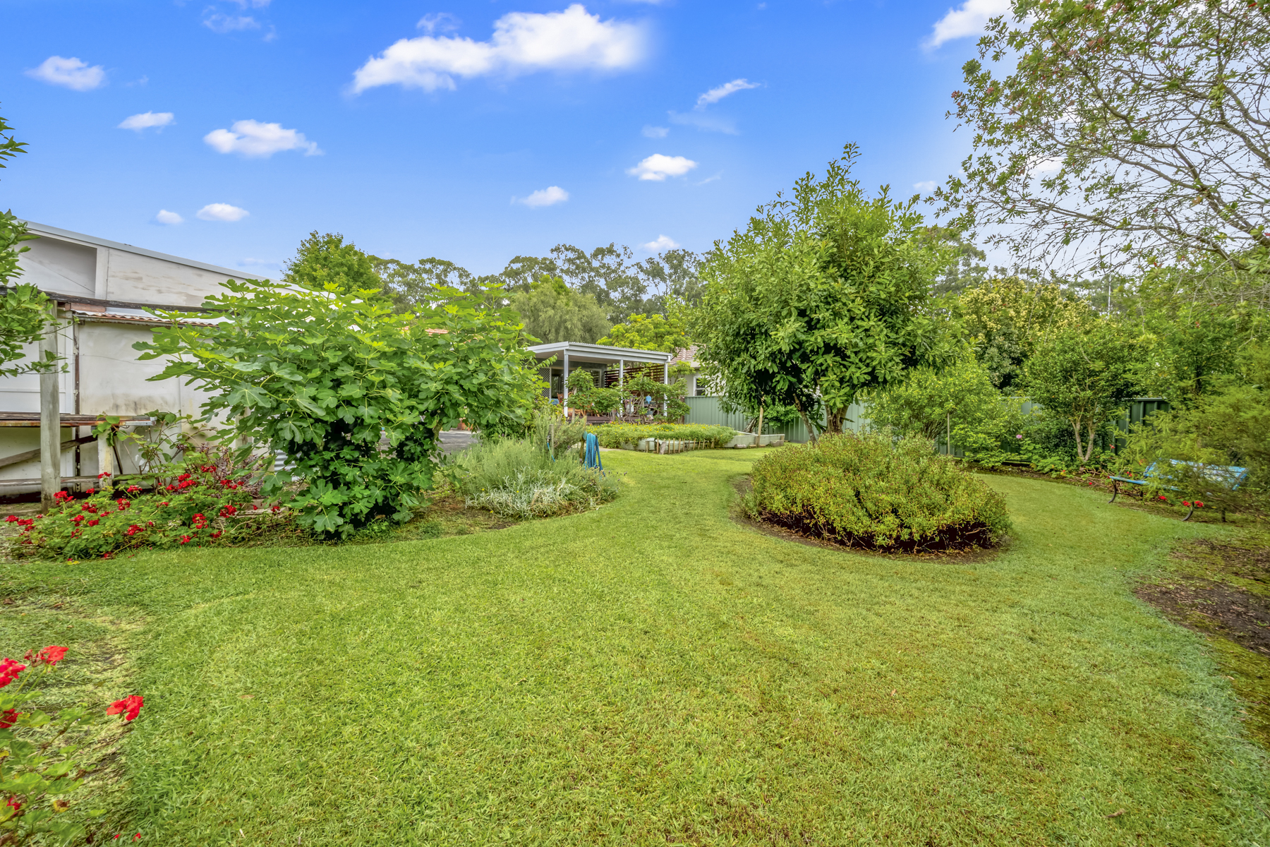 25 PARK AV, BLACKALLS PARK NSW 2283, 0 ਕਮਰੇ, 0 ਬਾਥਰੂਮ, House