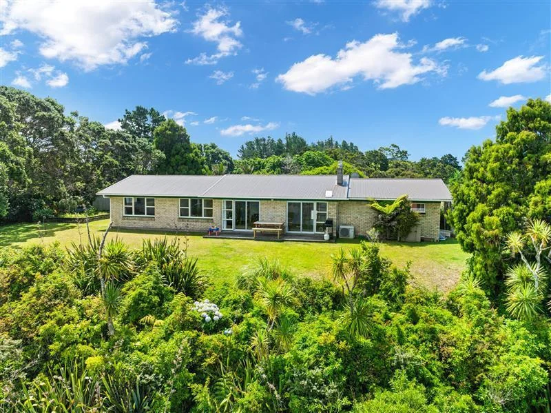 A Matapouri dream
