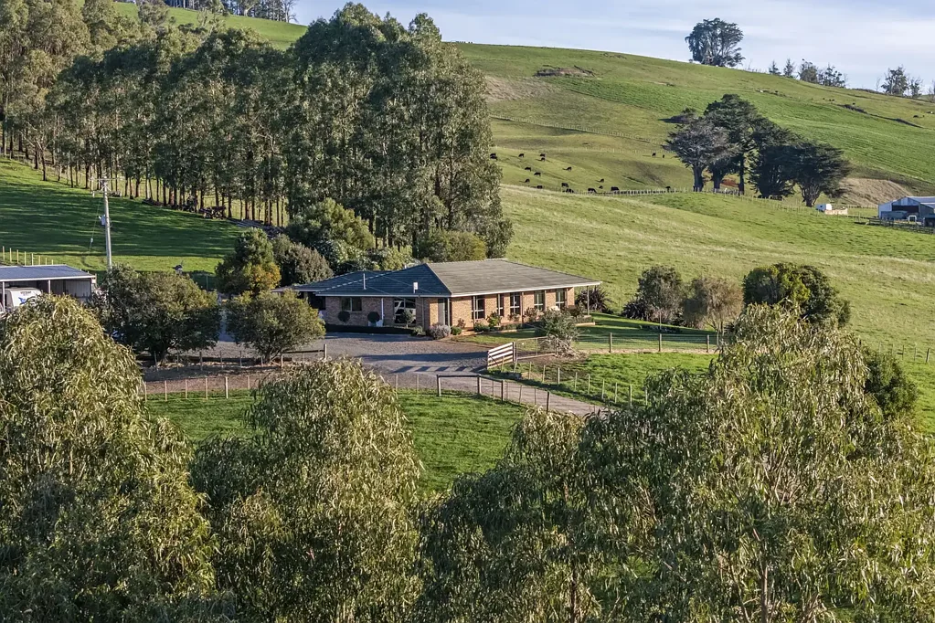 Sunnyside Premium Lifestyle Farm with Strong Output & Renovated Home