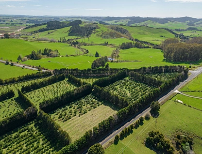908A Te Ahu Ahu Road, Waimate North, Kerikeri, Far North, 0房, 0浴, 乡村别墅