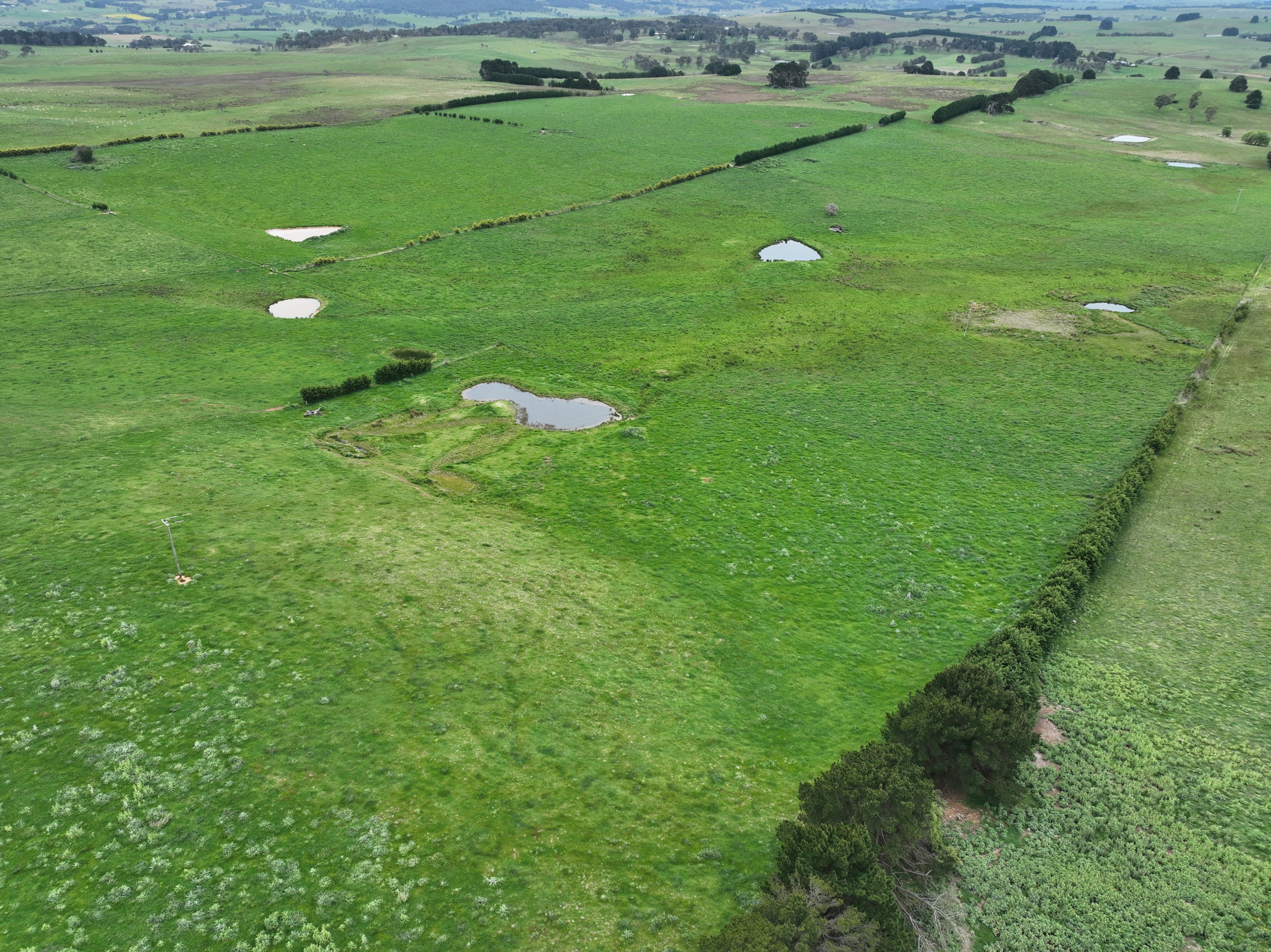 253 MCALISTER RD, LAGGAN NSW 2583, 0 રૂમ, 0 બાથરૂમ, Lifestyle Property