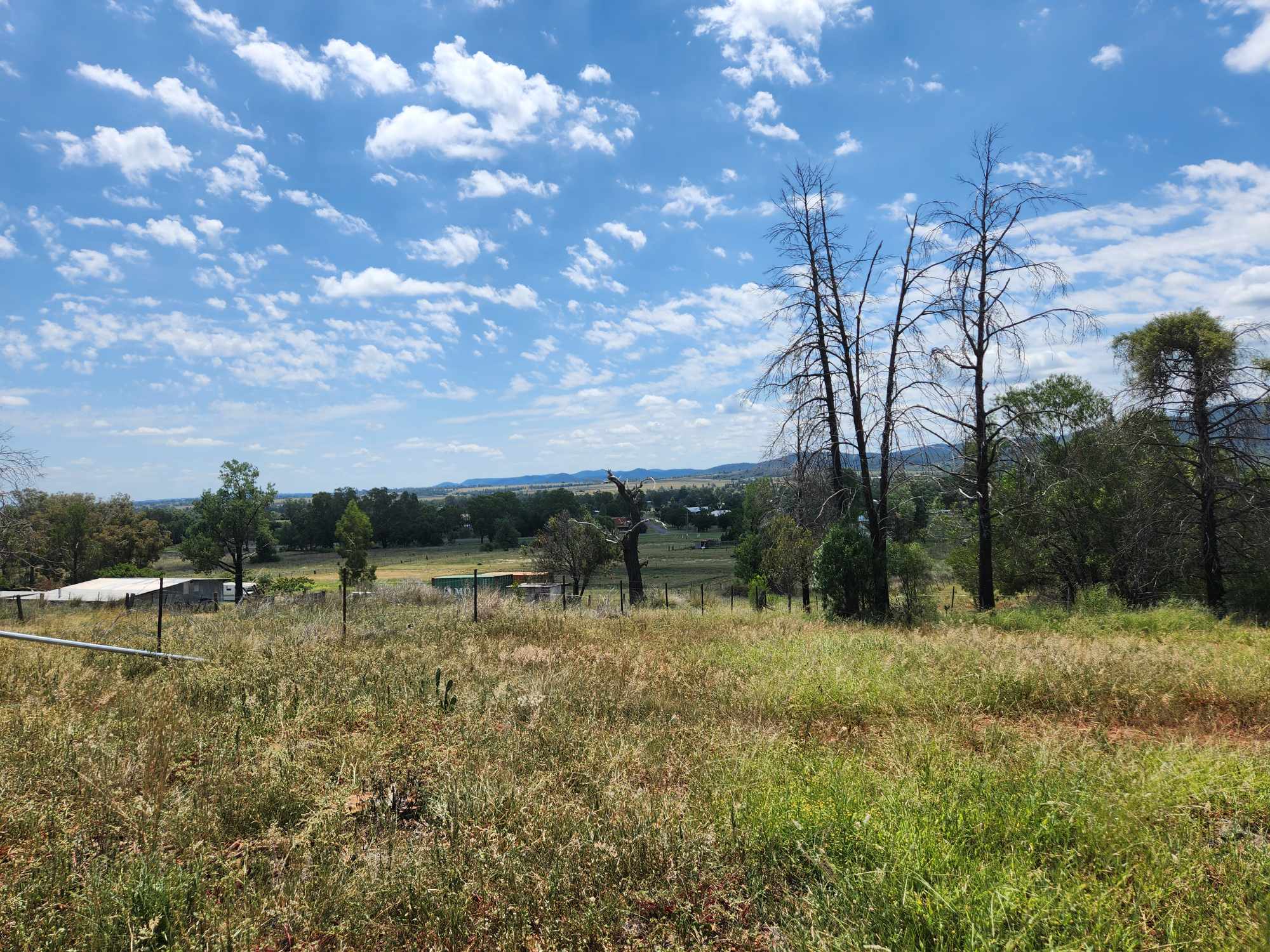 13 NARRABRI RD, BINGARA NSW 2404, 0 rūma, 0 rūma horoi, Section