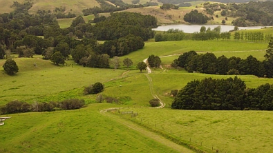 Millbrook Road, Waipu, Whangarei, 0 slaapkamers, 0 badkamers, Lifestyle Section