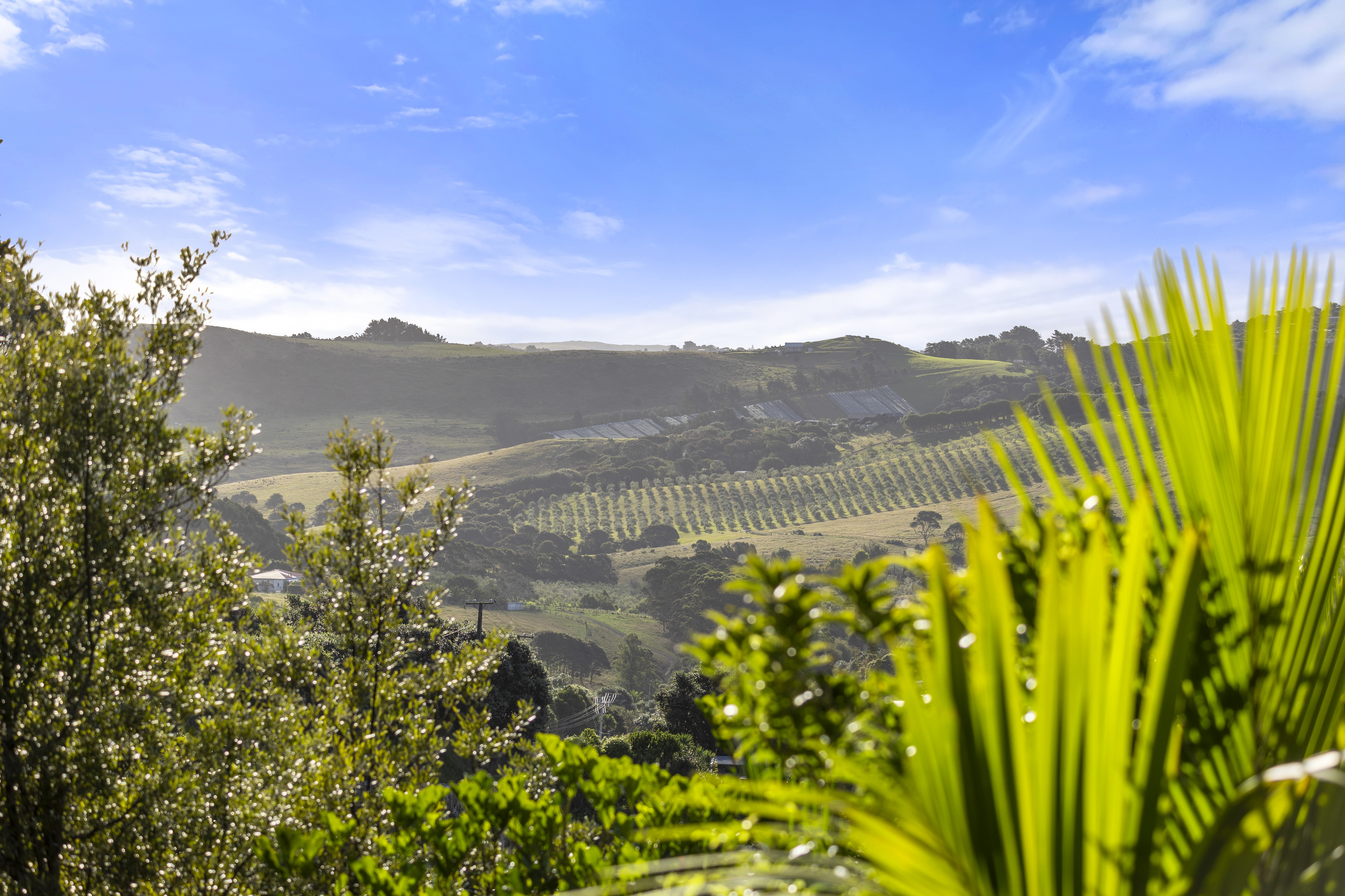 Hauraki Gulf Islands