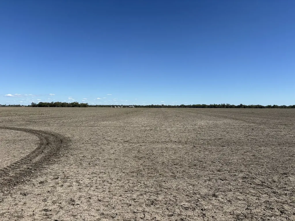 Goondiwindi "Booroora"