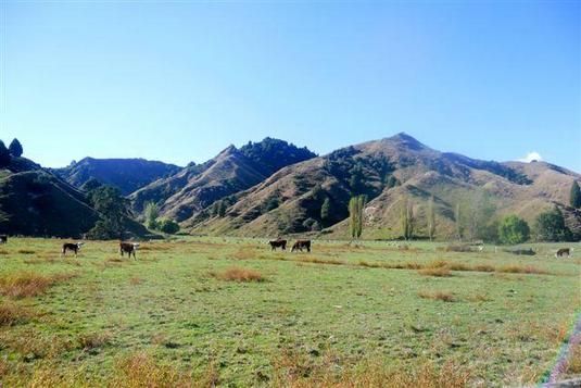 Ramaroa Road, Aria, Waitomo, 0 침실, 0 욕실