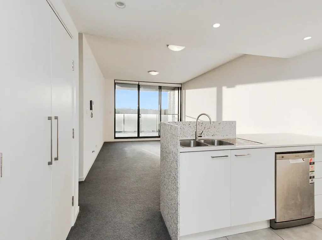 LUXURY ONE BEDROOM APARTMENT